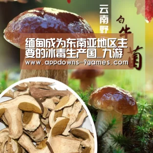 缅甸成为东南亚地区主要的冰毒生产国_九游官网入口地址(图1) 九游官网入口地址