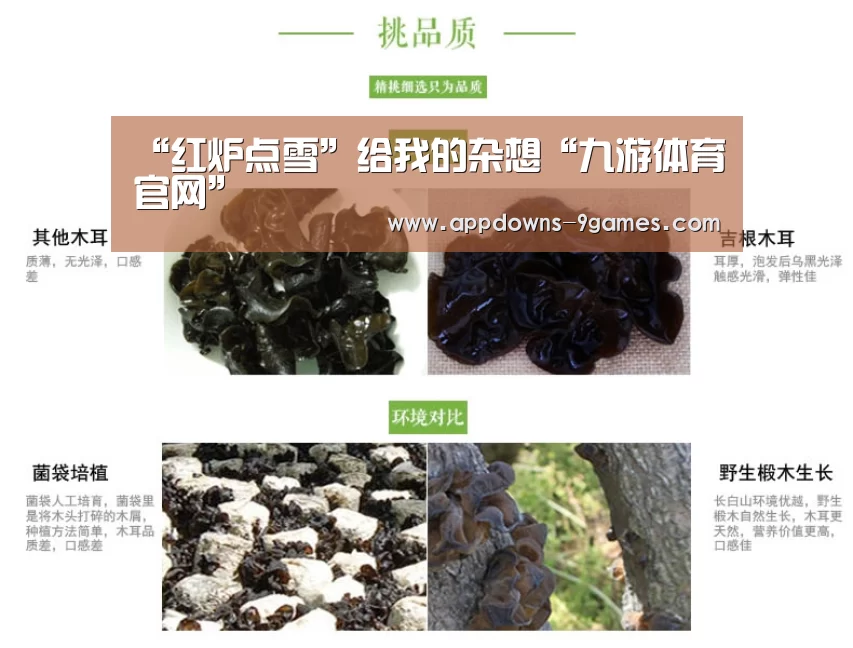 “红炉点雪”给我的杂想“九游体育官网”(图2)