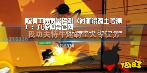 隧洞工程质量检测(衬砌混凝土检测):九游体育官网(图2) 隧洞工程质量检测(衬砌混凝土检测):九游体育官网(图2)